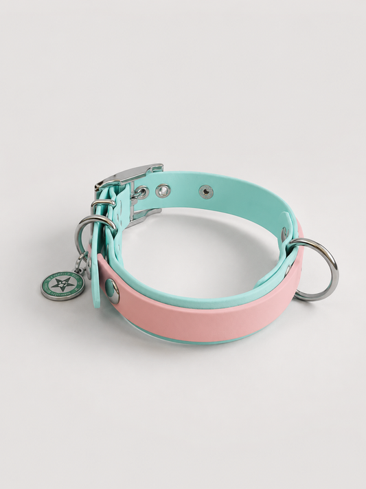 Collier modulable pour chien en TPU bleu pastel avec bande amovible colorée roe