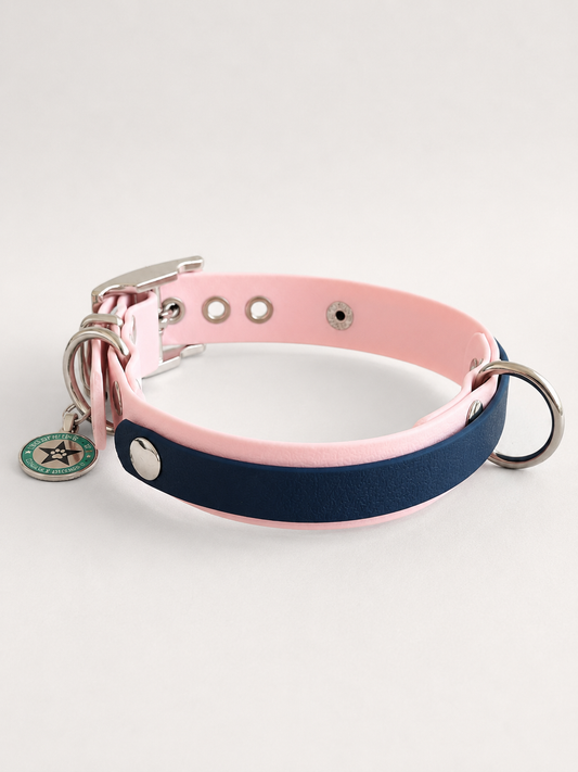 Collier modulable pour chien en TPU rose avec bande amovible colorée bleu nuit