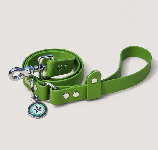Laisse classique pour chien vert kaki 25mm waterproof fait main à Marseille — l'Atelier du Chien Français
