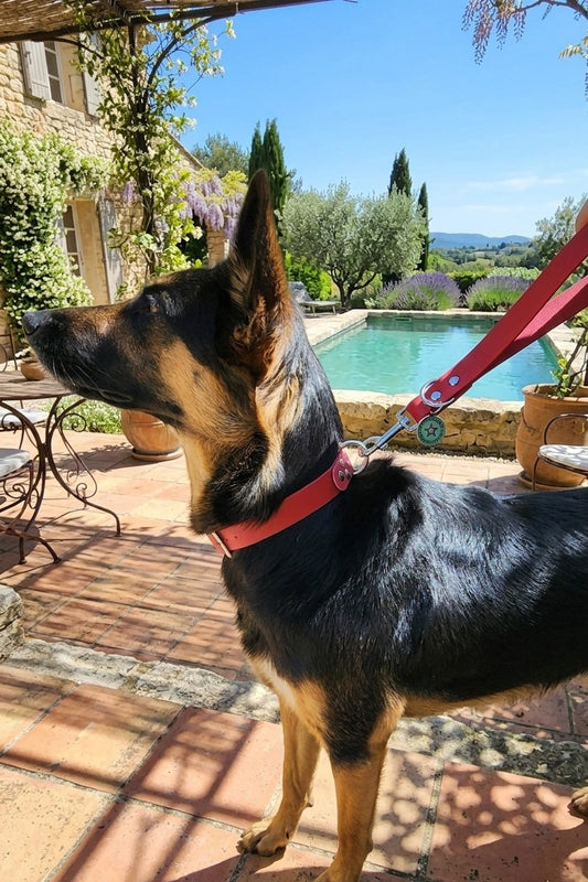 poignée pour chien malinois cerise 25mm waterproof fait main à Marseille — L'Atelier du Chien Français