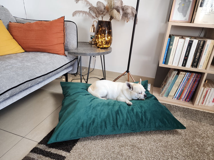 COUSSIN