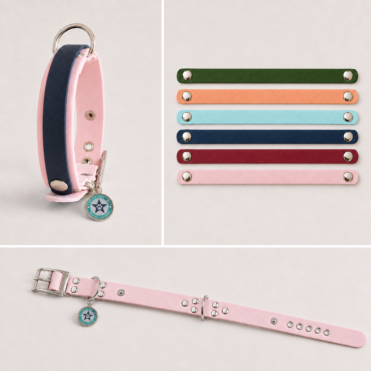 Bandes interchangeables pour collier de chien en plusieurs couleurs