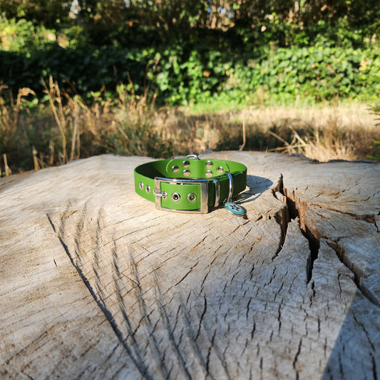 COLLIER OLIVE