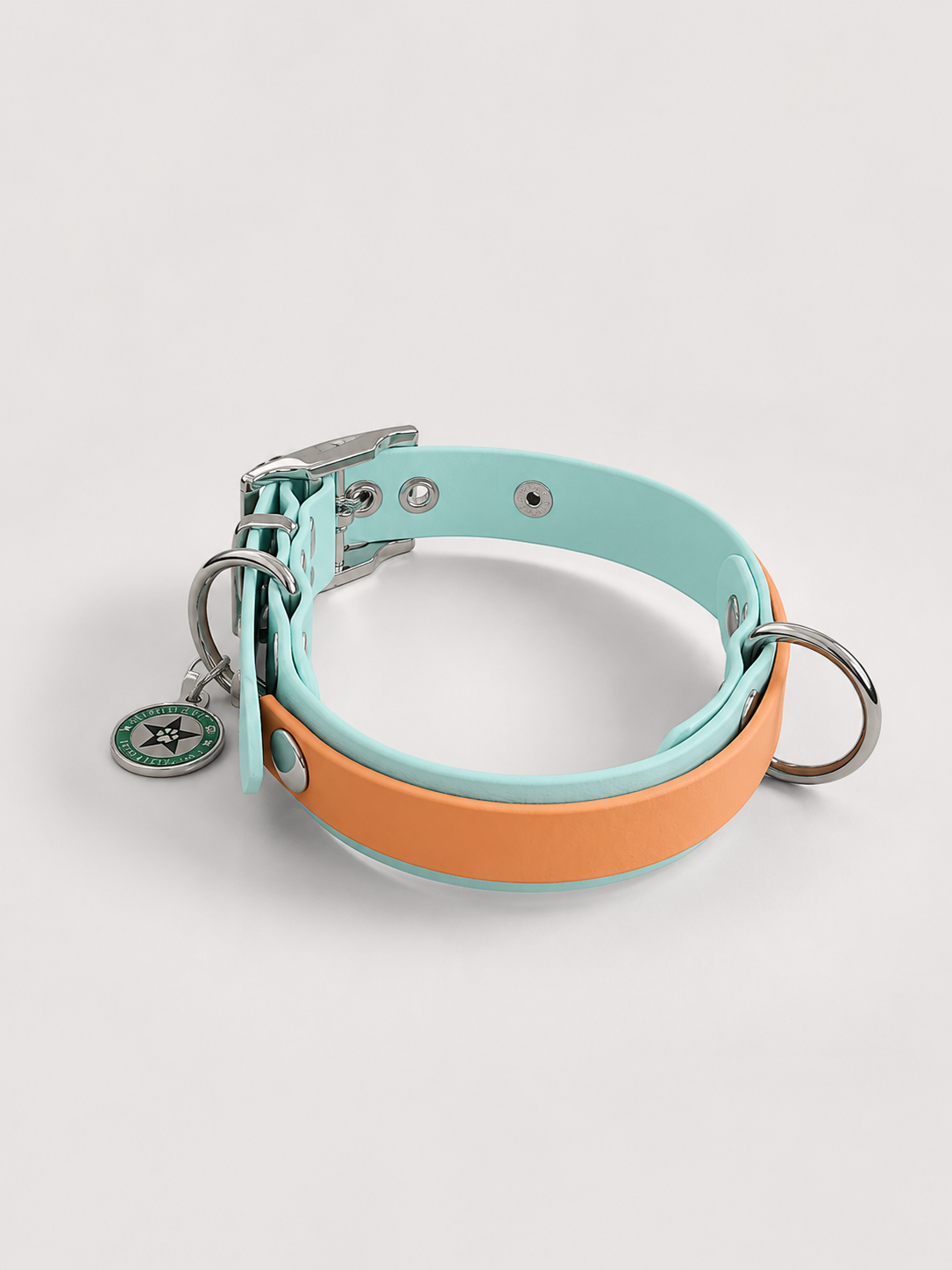 Collier modulable pour chien en TPU bleu pastel avec bande amovible colorée caramel