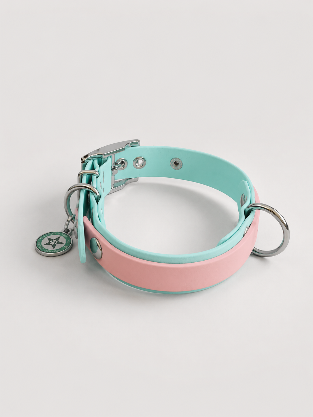 Collier modulable pour chien en TPU bleu pastel avec bande amovible colorée roe