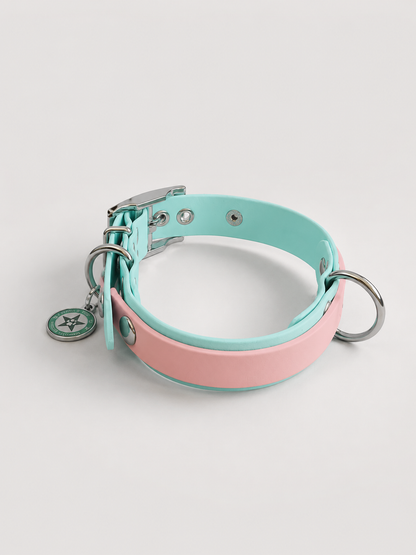 Collier modulable pour chien en TPU bleu pastel avec bande amovible colorée roe