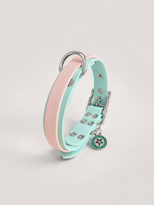 Collier modulable pour chien en TPU bleu pastel avec bande amovible colorée rose