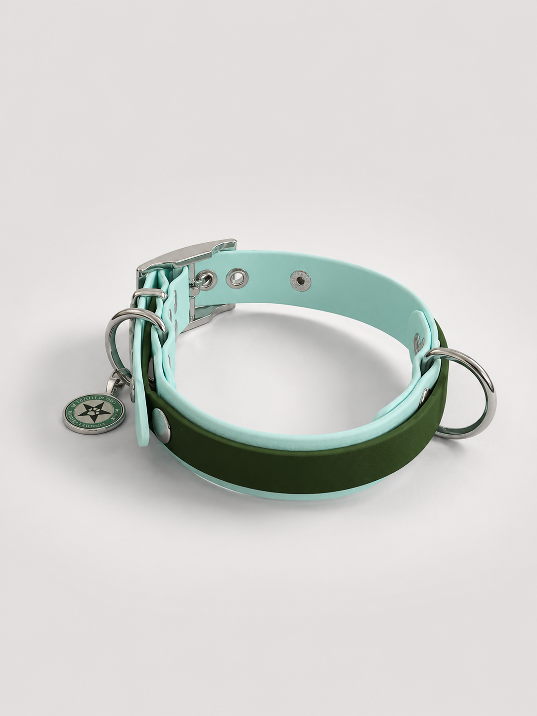 Collier modulable pour chien en TPU bleu pastel avec bande amovible colorée vert olive
