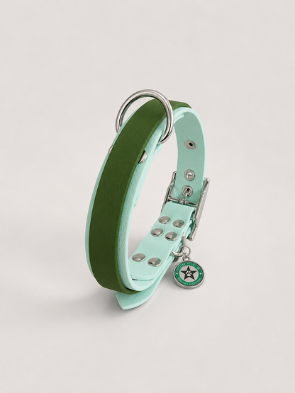 Collier modulable pour chien en TPU bleu pastel avec bande amovible colorée vert olive