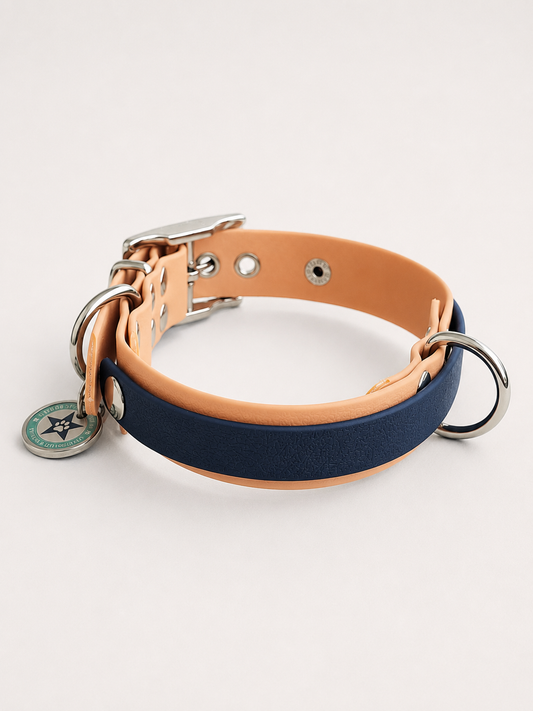 Collier modulable pour chien en TPU caramel avec bande amovible colorée bleu nuit