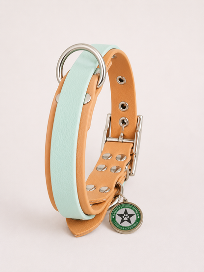Collier modulable pour chien en TPU  caramel avec bande amovible colorée bleu pastel