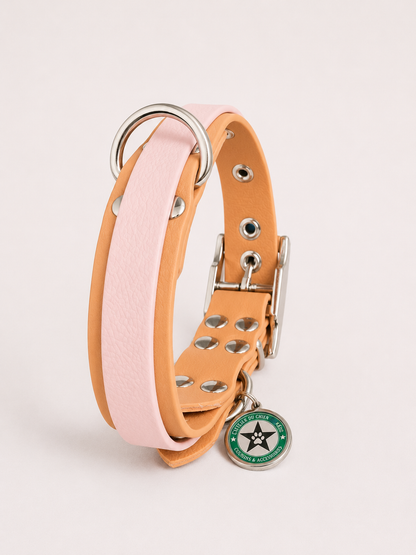 Collier modulable pour chien en TPU caramel avec bande amovible colorée rose