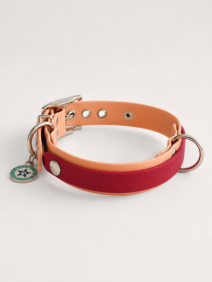 Collier modulable pour chien en TPU  caramel avec bande amovible colorée rouge cerise