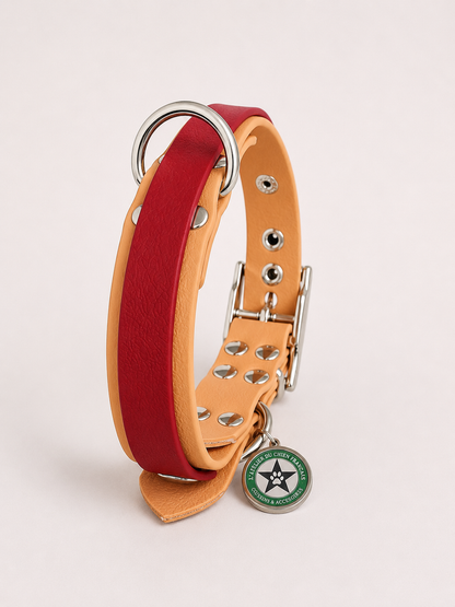 Collier modulable pour chien en TPU caramel avec bande amovible colorée rouge cerise