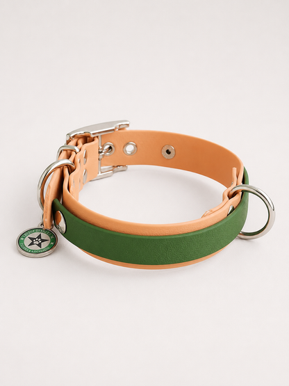 Collier modulable pour chien en TPU caramel avec bande amovible colorée vert olive 