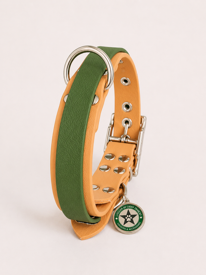 Collier modulable pour chien en TPU caramel avec bande amovible colorée vert olive