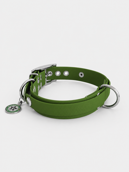 Collier modulable pour chien en TPU vert olive avec bande amovible colorée vert olive