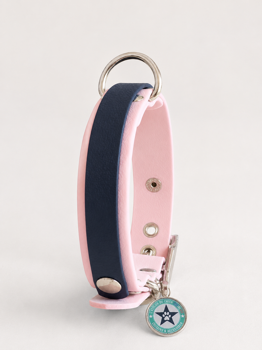 Collier modulable pour chien en TPU rose avec bande amovible colorée bleu nuit