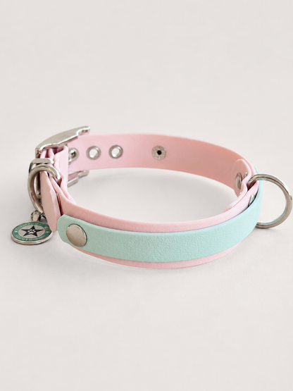 Collier modulable pour chien en TPU rose avec bande amovible colorée  bleu pastel