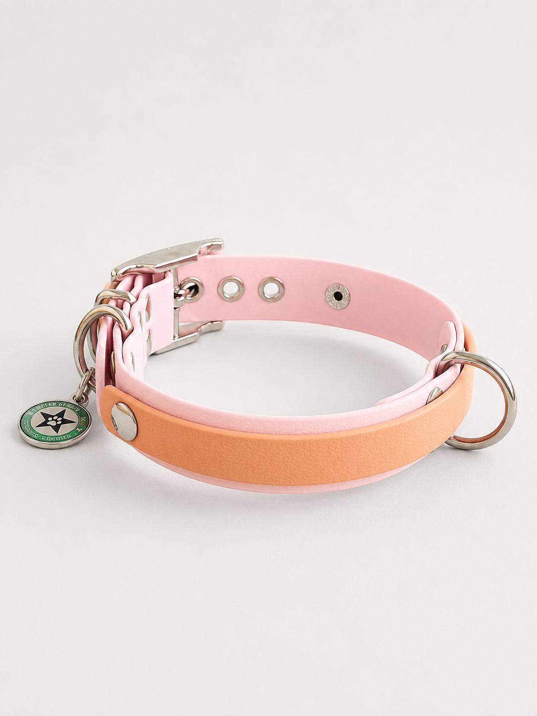 Collier modulable pour chien en TPU rose avec bande amovible colorée caramel