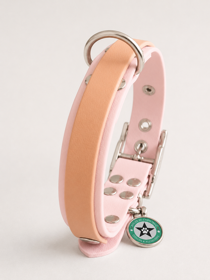 Collier modulable pour chien en TPU rose avec bande amovible colorée caramel