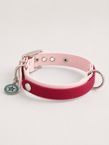 Collier modulable pour chien en TPU rose avec bande amovible colorée rouge olive
