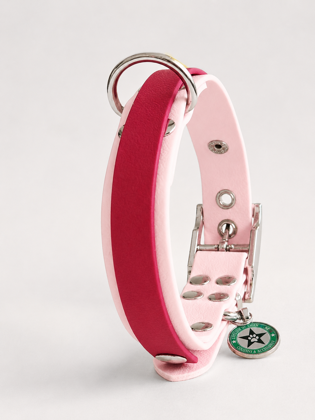 Collier modulable pour chien en TPU rose avec bande amovible colorée rouge cerise