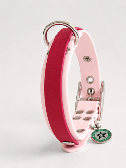 Collier modulable pour chien en TPU rose avec bande amovible colorée rouge cerise