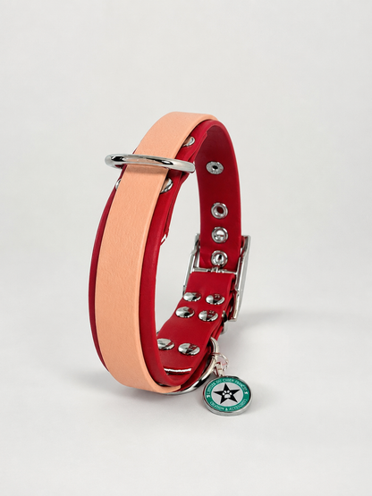Collier modulable pour chien en TPU rouge cerise avec bande amovible colorée caramel