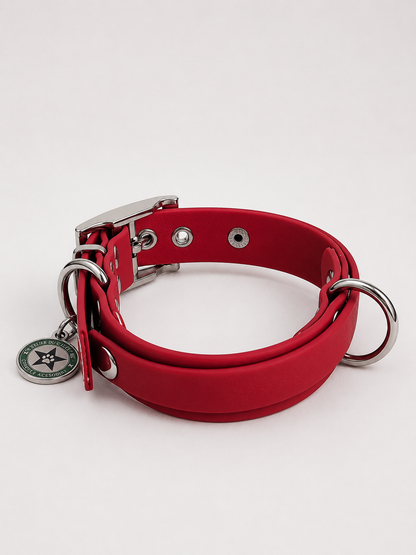 Collier modulable pour chien en TPU rouge cerise avec bande amovible colorée rouge cerise 