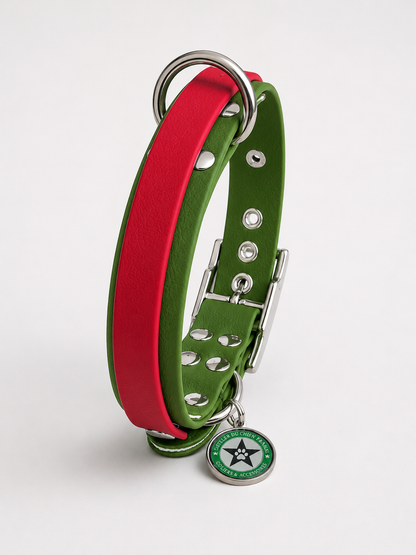 Collier modulable pour chien en TPU vert olive avec bande amovible colorée  rouge cerise