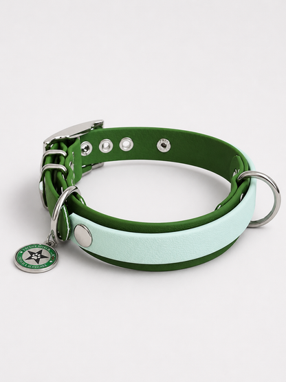 Collier modulable pour chien en TPU vert olive avec bande amovible colorée  bleu pastel