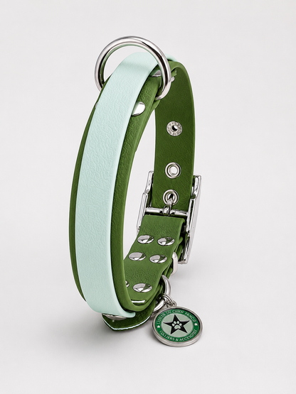 Collier modulable pour chien en TPU vert olive avec bande amovible colorée  bleu pastel
