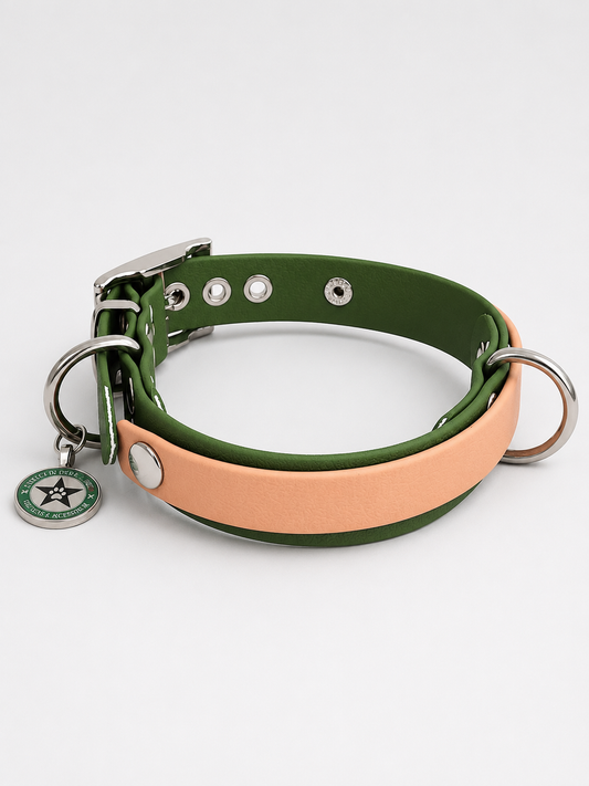 Collier modulable pour chien en TPU vert olive avec bande amovible colorée caramel