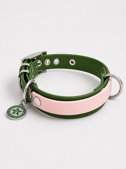 Collier modulable pour chien en TPU vert olive avec bande amovible colorée  rose