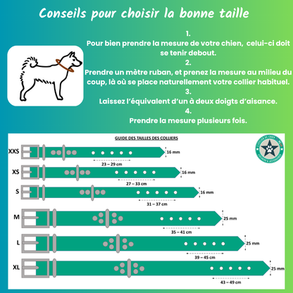 Fiche conseil pour prendre les mesures pour collier chien en TPU premium fait main en france à Marseille