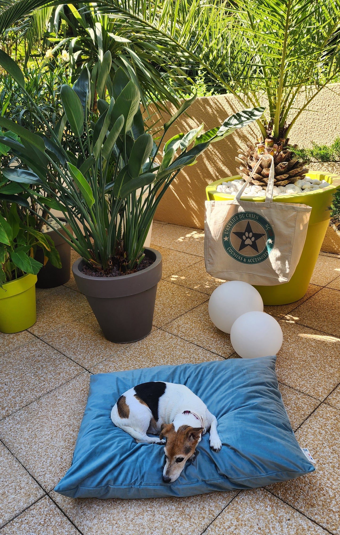 COUSSIN CELADON