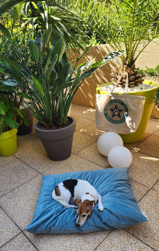 COUSSIN CELADON