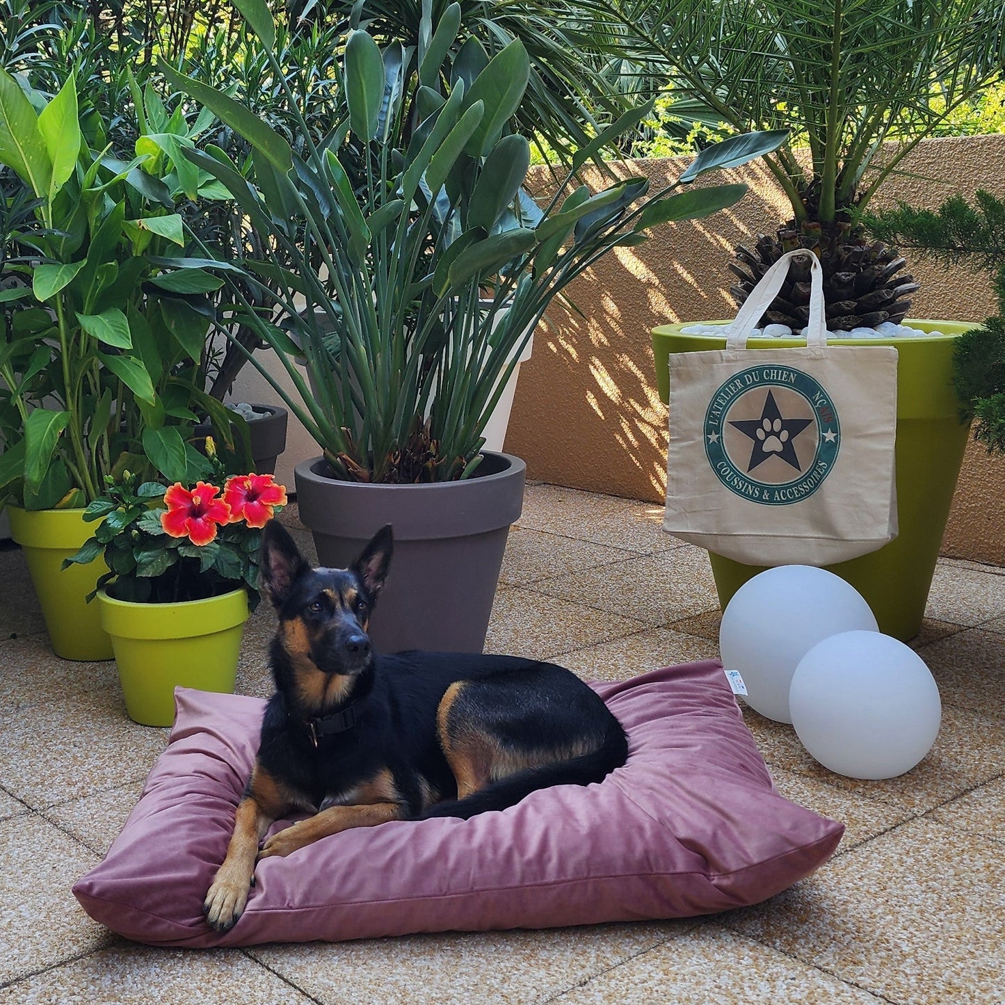 COUSSIN BOIS DE ROSE