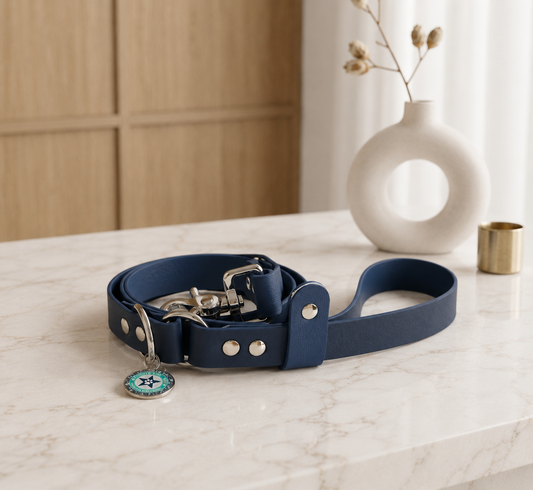 Laisse classique pour chien waterproof fait main à Marseille — l'Atelier du Chien Français