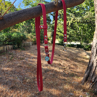 LAISSE BANDOULIERE CERISE