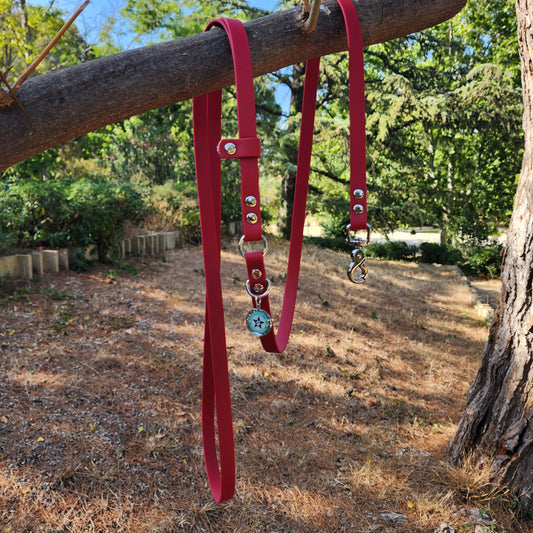 LAISSE BANDOULIERE CERISE