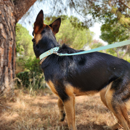 Laisse classique pour chien 25mm waterproof fait main à Marseille — l'Atelier du Chien Français