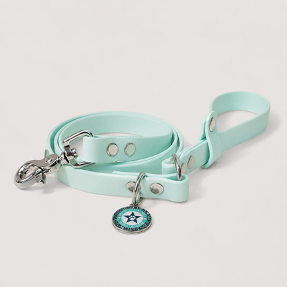 Laisse classique pour chien belu pastel turquoise 16mm waterproof fait main à Marseille — l'Atelier du Chien Français