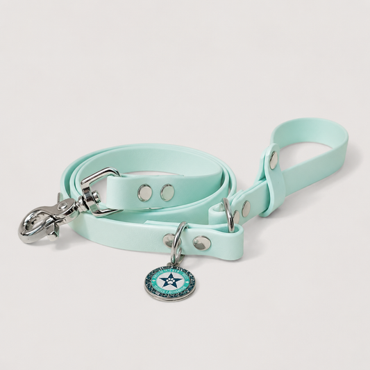 Laisse classique pour chien belu pastel turquoise 16mm waterproof fait main à Marseille — l'Atelier du Chien Français