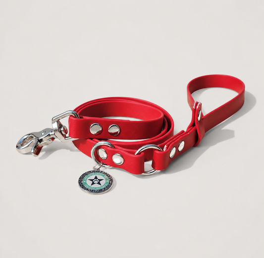 Laisse classique pour chien rouge cerise 16mm waterproof fait main à Marseille — l'Atelier du Chien Français