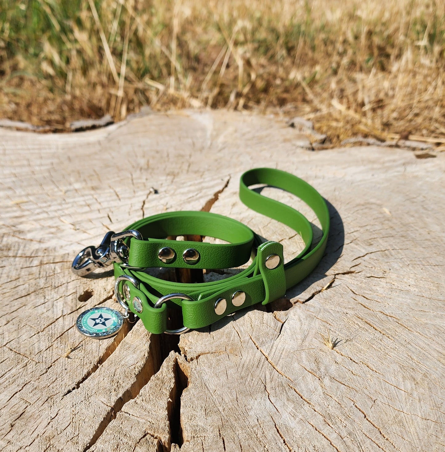 LAISSE CLASSIQUE OLIVE