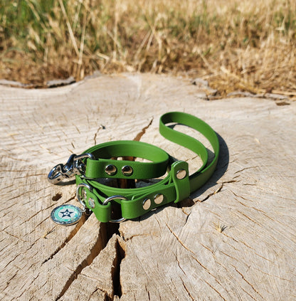 LAISSE CLASSIQUE OLIVE