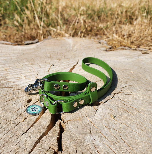 LAISSE CLASSIQUE OLIVE