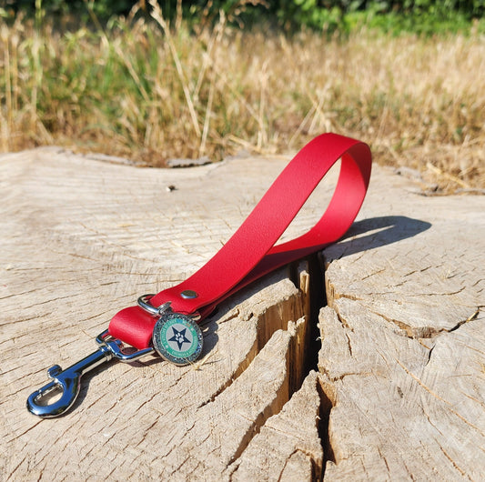 POIGNEE CERISE